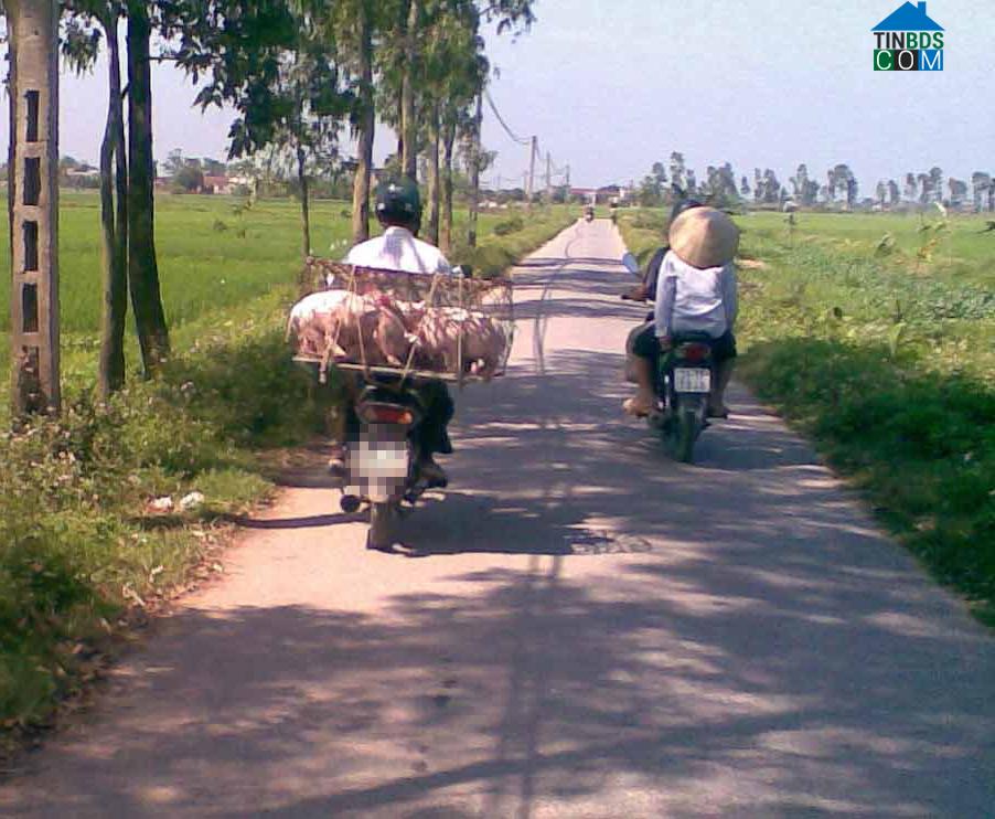 Hình ảnh Bắc Đông Quan, Hưng Yên