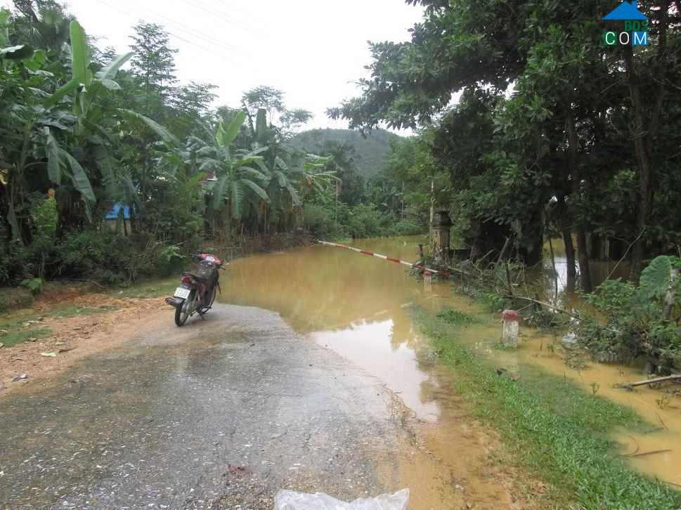 Hình ảnh Mai Hoa, Hà Tĩnh