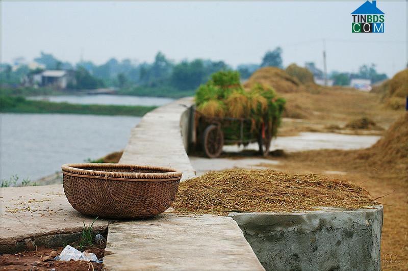 Hình ảnh Hưng Phú, Hưng Yên