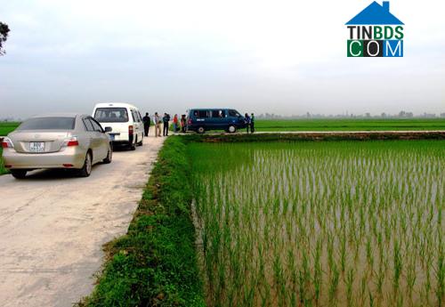 Hình ảnh Bắc Thụy Anh, Hưng Yên