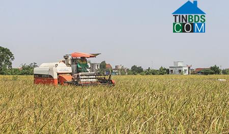 Hình ảnh Đông Quan, Hưng Yên