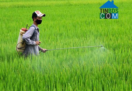 Hình ảnh Đông Tiền Hải, Hưng Yên