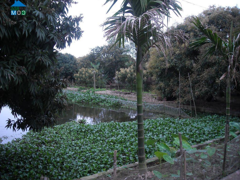 Hình ảnh Hoàng Hoa Thám, Hưng Yên