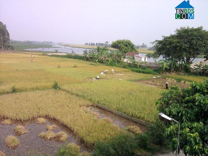 Hình ảnh Nam Thụy Anh, Hưng Yên