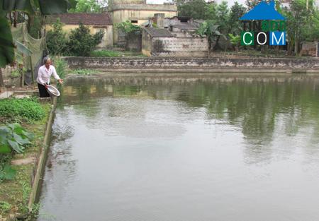 Hình ảnh Nam Tiên Hưng, Hưng Yên