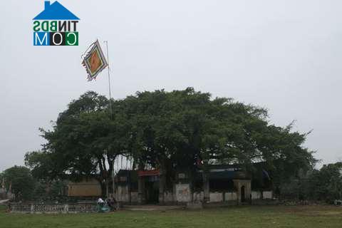 Hình ảnh Ngự Thiên, Hưng Yên