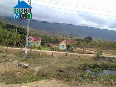 Hình ảnh Bác Ái Đông, Khánh Hòa