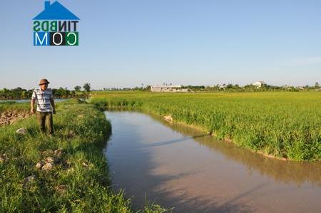 Hình ảnh Tiên Hoa, Hưng Yên