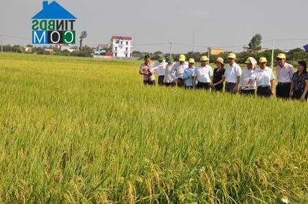 Hình ảnh Tiên Tiến, Hưng Yên