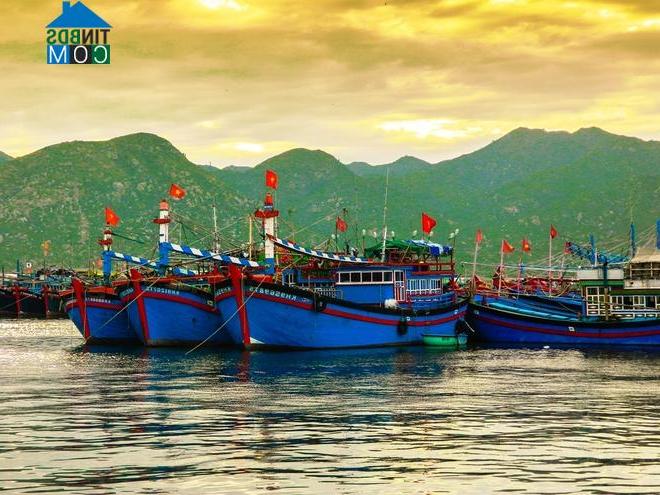 Hình ảnh Cà Ná, Khánh Hòa