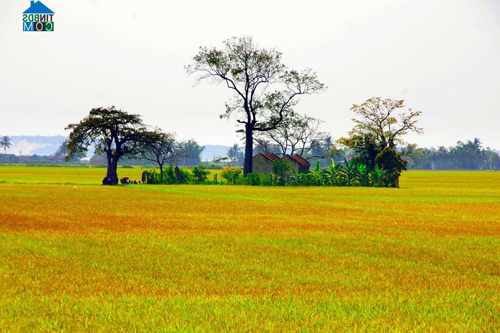 Hình ảnh Tu Bông, Khánh Hòa