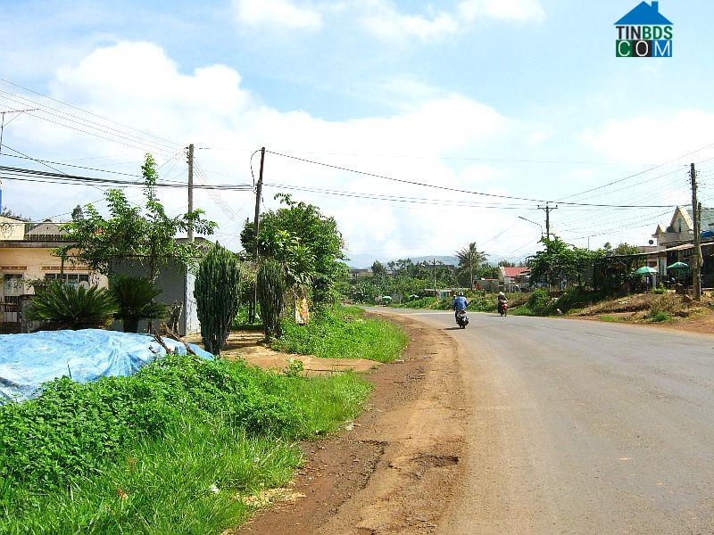 Hình ảnh Di Linh, Lâm Đồng