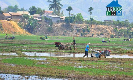 Hình ảnh Sơn Điền, Lâm Đồng
