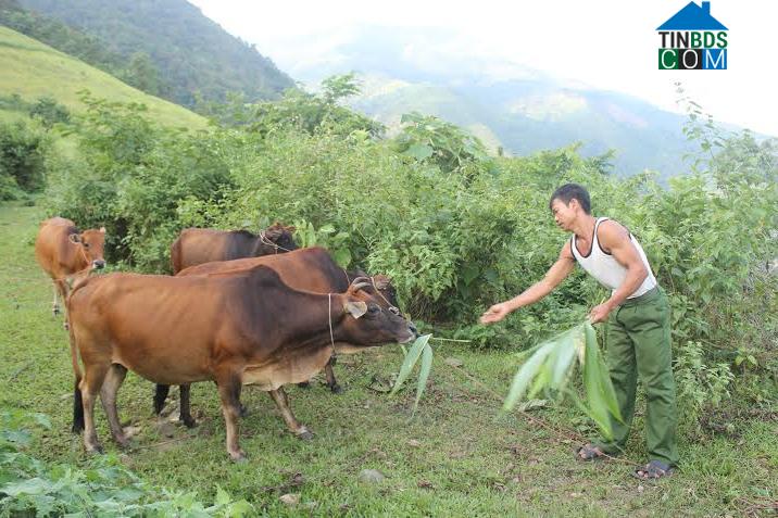 Hình ảnh Nậm Hàng, Lai Châu