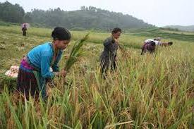 Hình ảnh Pắc Ta, Lai Châu