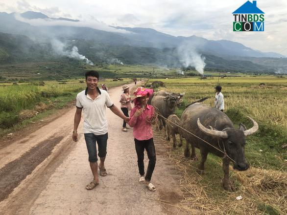 Hình ảnh Pu Sam Cáp, Lai Châu