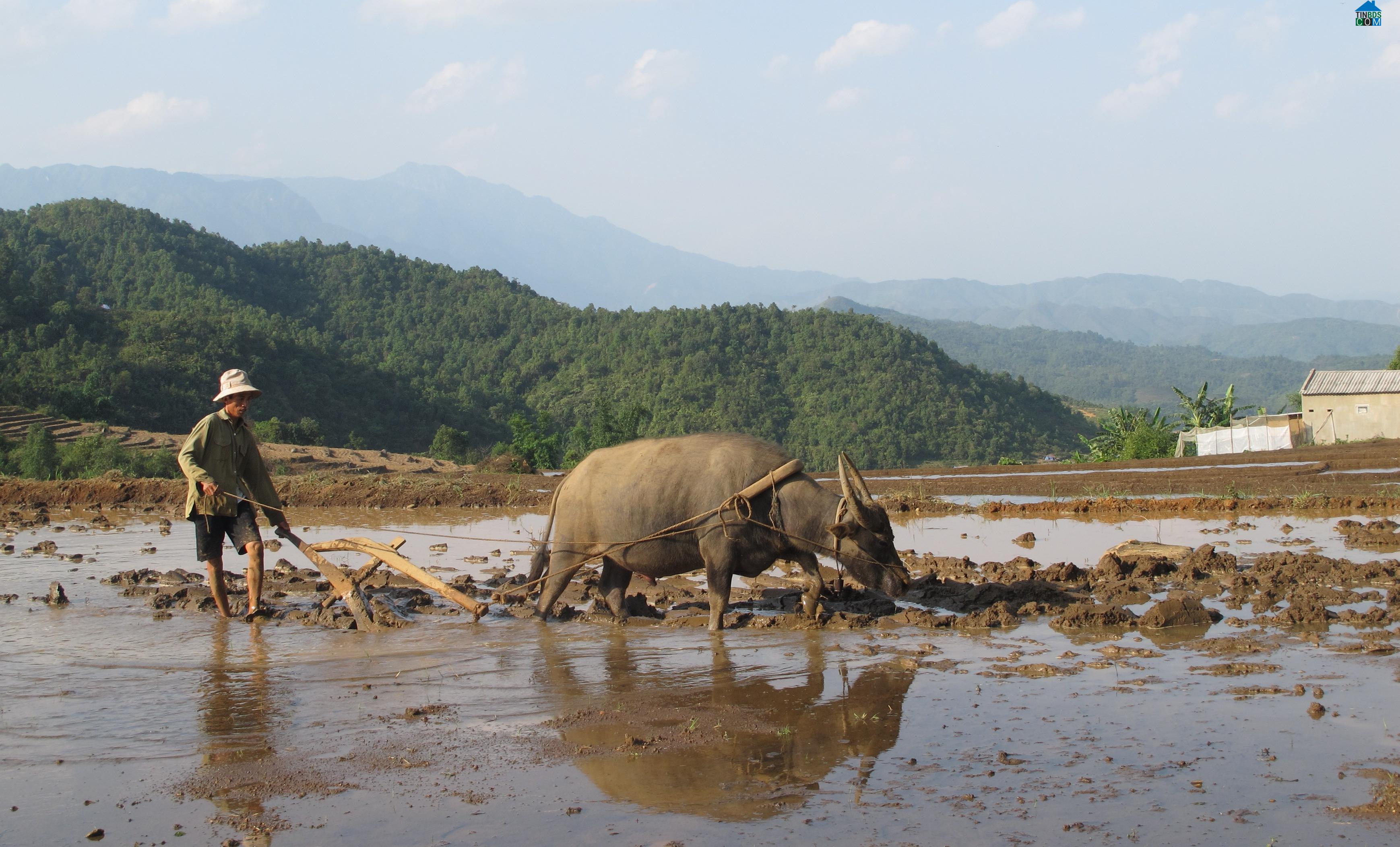 Hình ảnh Tả Lèng, Lai Châu