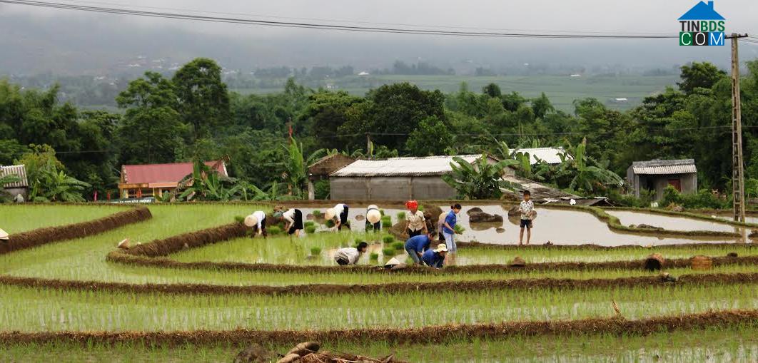 Hình ảnh Tân Uyên, Lai Châu