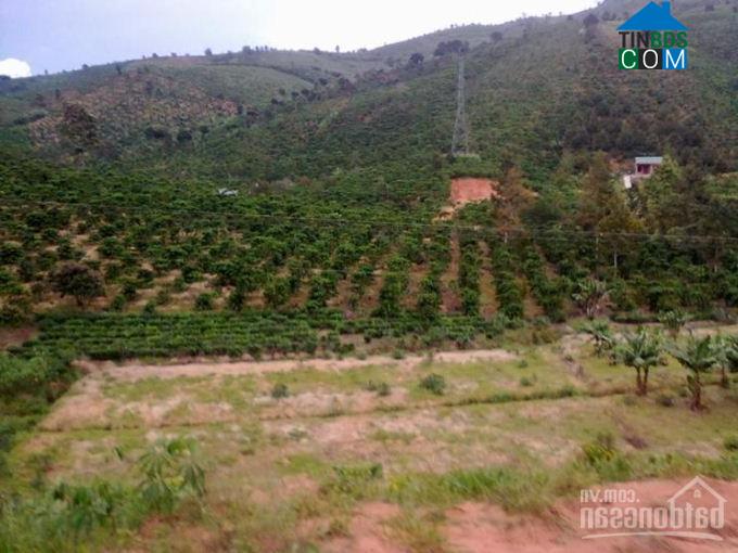 Hình ảnh Bảo Lâm 3, Lâm Đồng