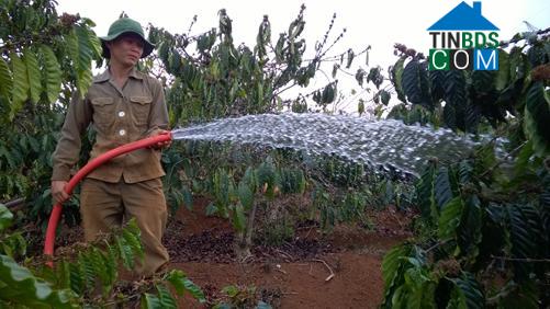 Hình ảnh Bảo Thuận, Lâm Đồng