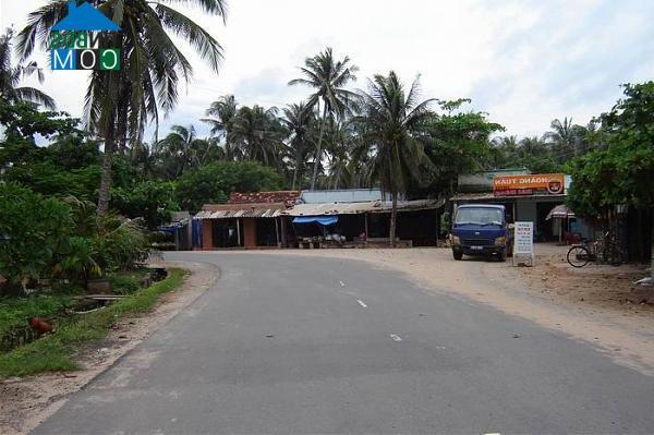 Hình ảnh Tuyên Quang, Lâm Đồng