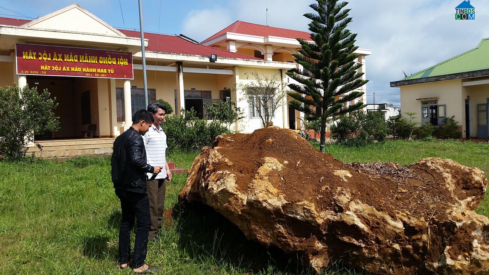 Hình ảnh 2 Bảo Lộc, Lâm Đồng