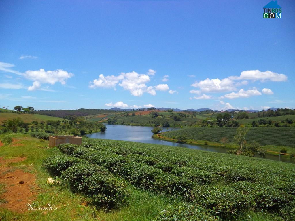 Hình ảnh 3 Bảo Lộc, Lâm Đồng