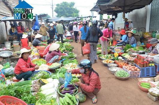 Hình ảnh Nam Đà, Lâm Đồng