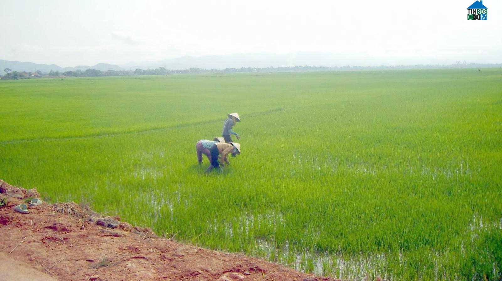 Hình ảnh Đạ Tẻh, Lâm Đồng