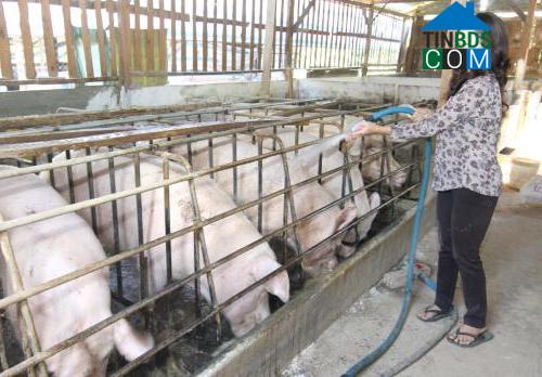 Hình ảnh Hiệp Thạnh, Lâm Đồng