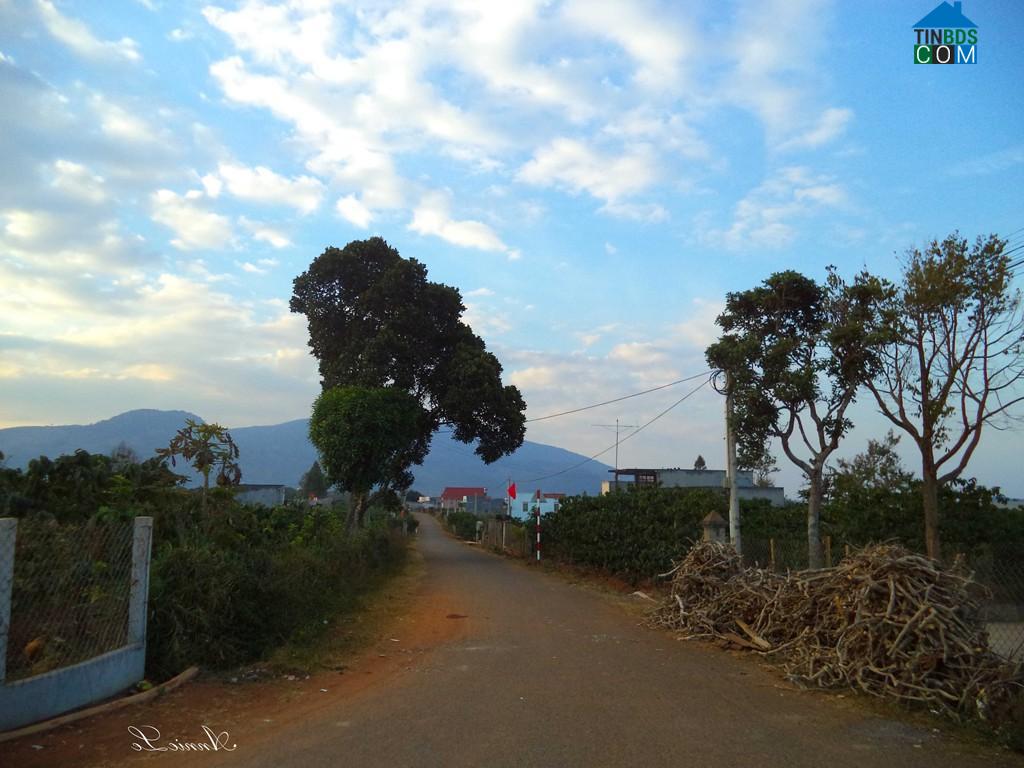 Hình ảnh Hòa Ninh, Lâm Đồng