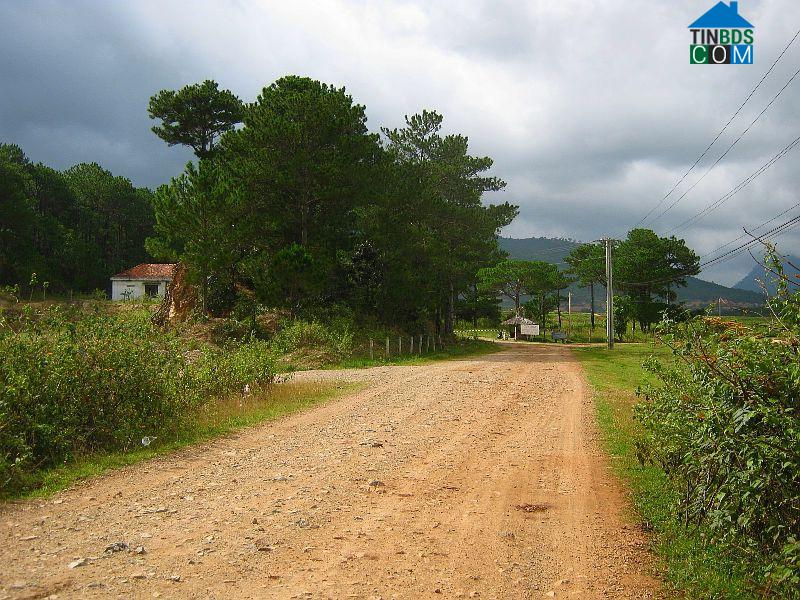 Hình ảnh Đinh Văn Lâm Hà, Lâm Đồng