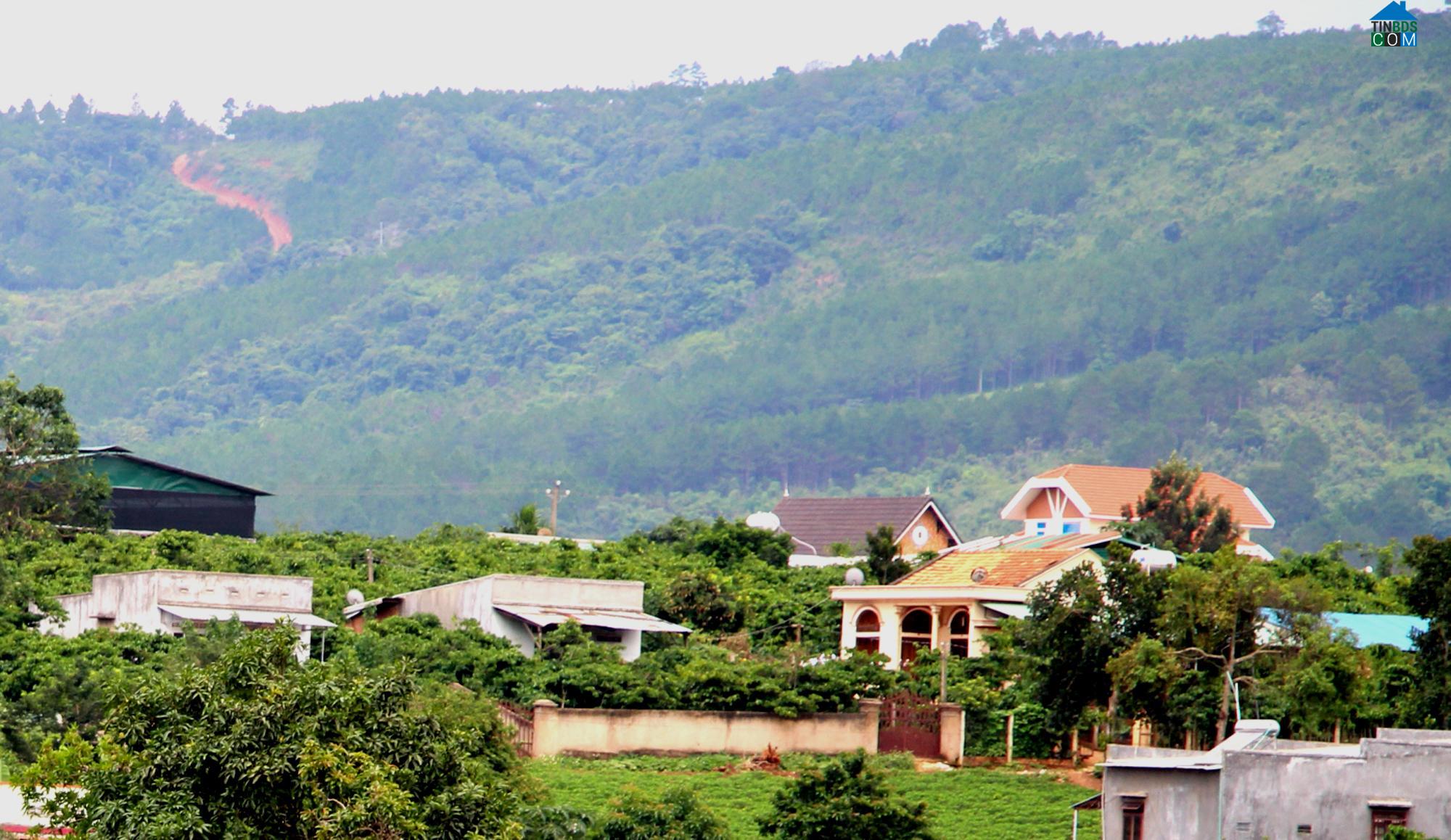 Hình ảnh Nam Ban Lâm Hà, Lâm Đồng