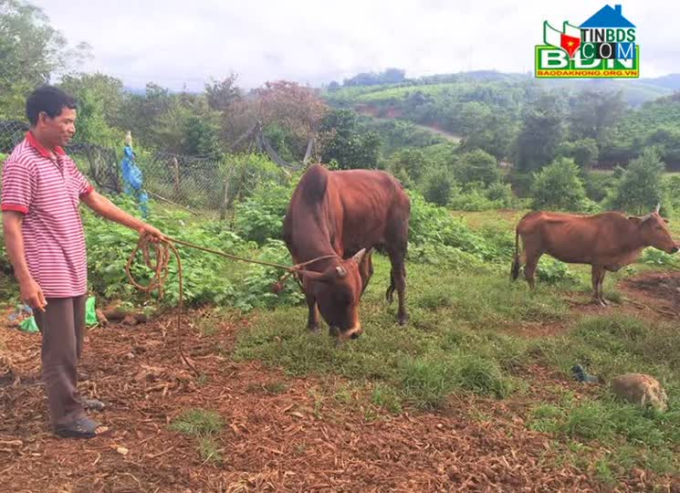 Hình ảnh Quảng Khê, Lâm Đồng