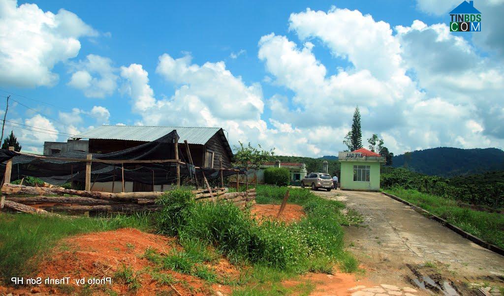 Hình ảnh Quảng Phú, Lâm Đồng