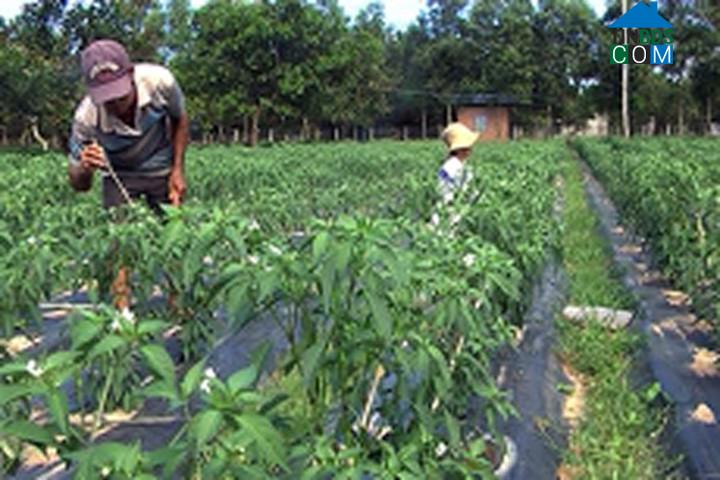 Hình ảnh Suối Kiết, Lâm Đồng