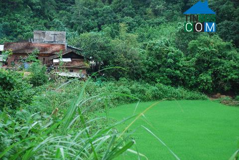 Hình ảnh Đình Lập, Lạng Sơn