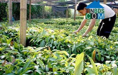 Hình ảnh Đoàn Kết, Lạng Sơn