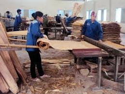 Hình ảnh Hữu Lũng, Lạng Sơn