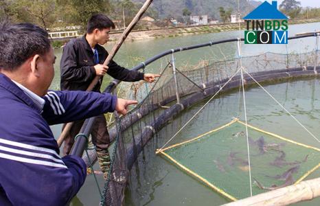 Hình ảnh Yên Phúc, Lạng Sơn