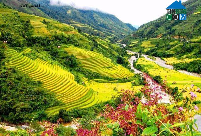 Hình ảnh Bản Hồ, Lào Cai