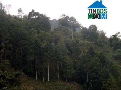 Hình ảnh Tân Tiến, Lạng Sơn