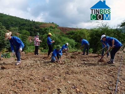 Hình ảnh Thụy Hùng, Lạng Sơn