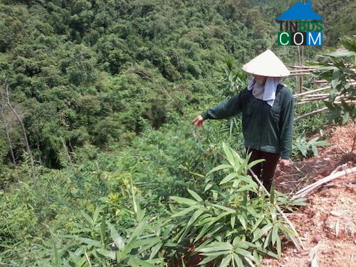 Hình ảnh Văn Lãng, Lạng Sơn