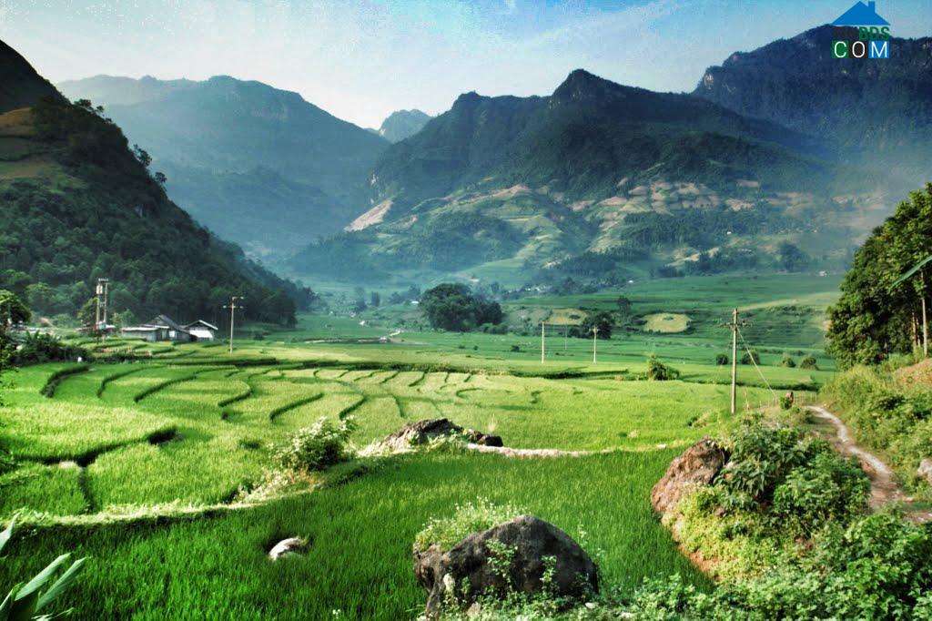 Hình ảnh Bản Xèo, Lào Cai