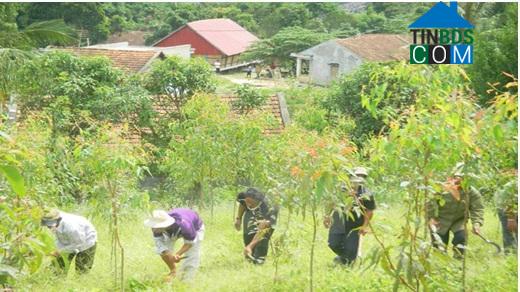 Hình ảnh Bảo Hà, Lào Cai