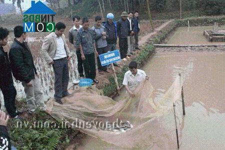 Hình ảnh Cảm Nhân, Lào Cai