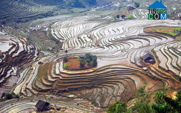 Hình ảnh Dền Sáng, Lào Cai