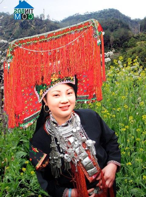 Hình ảnh Gia Hội, Lào Cai