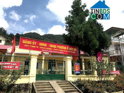 Hình ảnh Sa Pa, Lào Cai